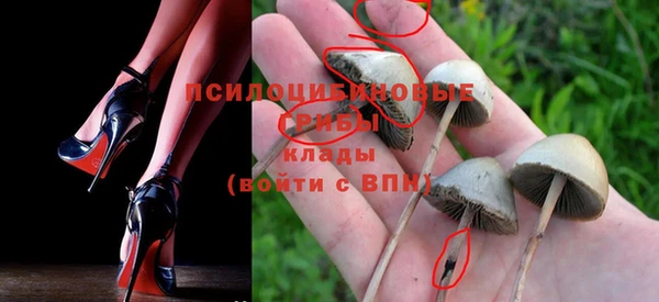 Альфа ПВП Богородск