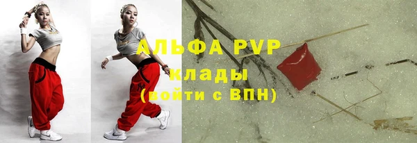 соль ск Богданович