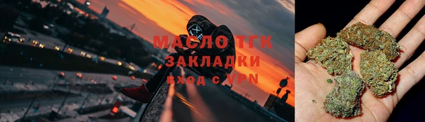 соль ск Богданович