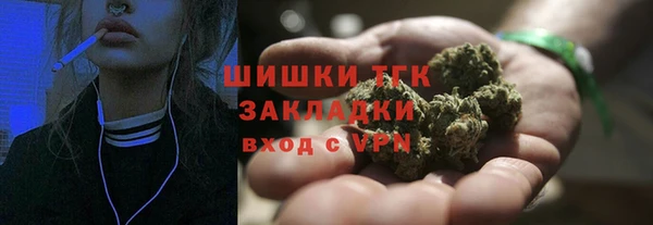 соль ск Богданович