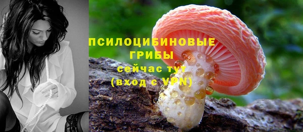 марки lsd Богородицк
