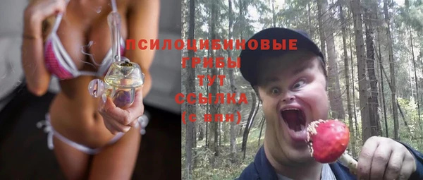 соль ск Богданович