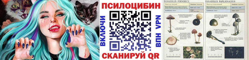 наркота  Киренск  Псилоцибиновые грибы ЛСД 